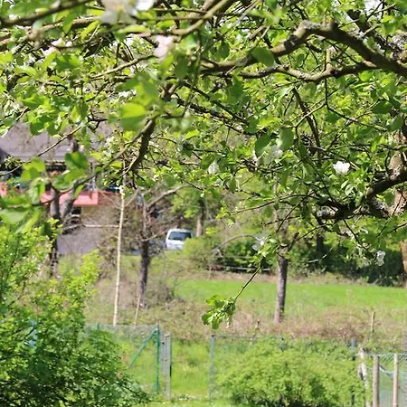 شقة Ferienwohnung Burgsicht *